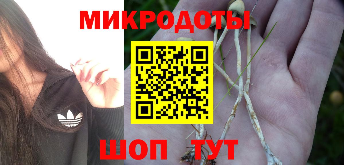 Псилоцибиновые грибы Psilocybine cubensis  Вход с VPN  Галлюциногенные грибы MAGIC MUSHROOMS  Шали 